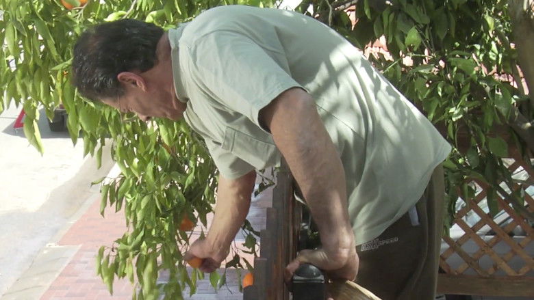 кадр из фильма برتقال