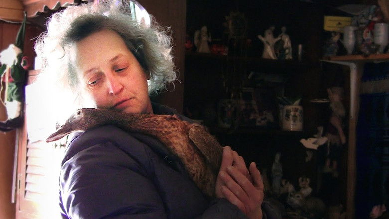 кадр из фильма For the Birds