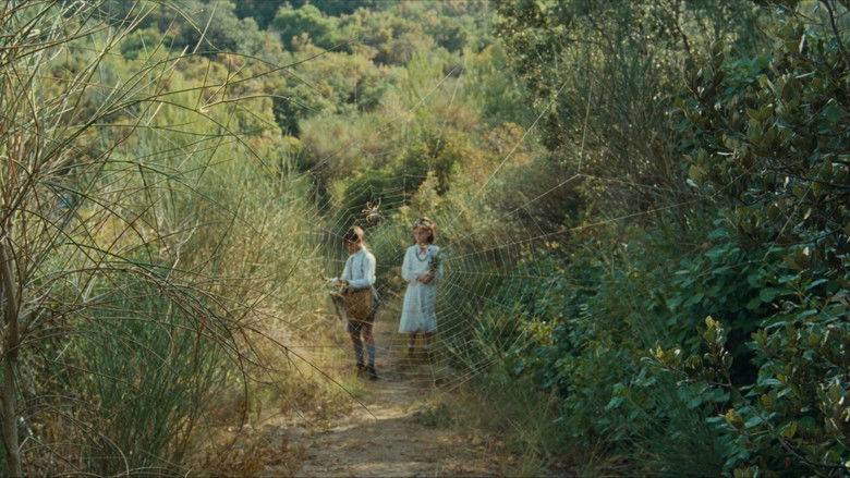 кадр из фильма Замок моей матери