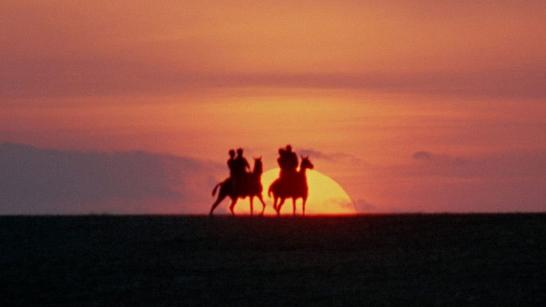 кадр из фильма The Learning Tree