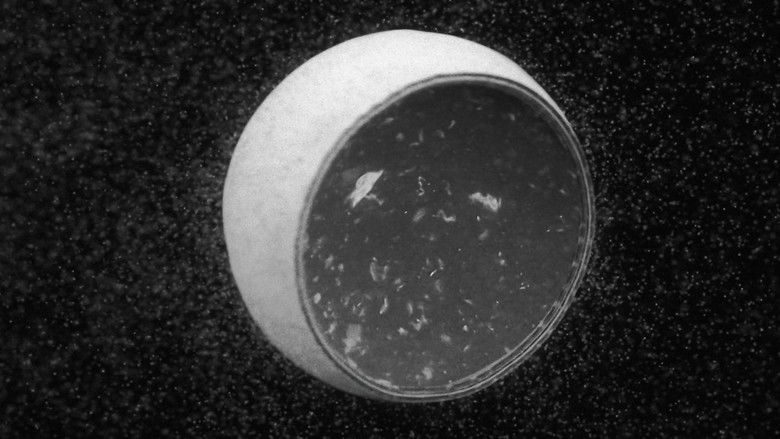 кадр из фильма Photon