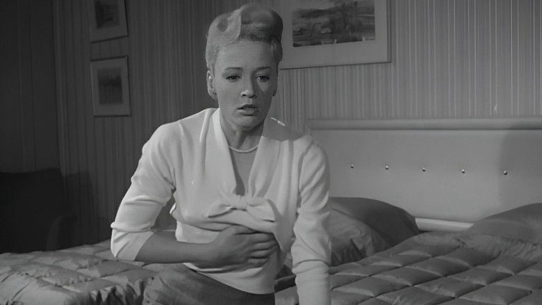 кадр из фильма The Third Alibi