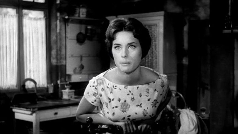 кадр из фильма Девушка с глазами кошки