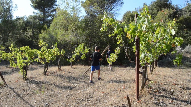 кадр из фильма Dans les bois