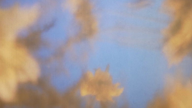 кадр из фильма Efímera Eternidad