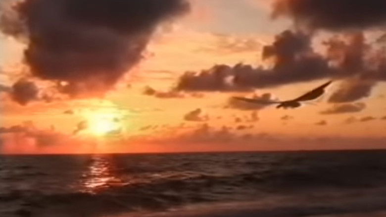 кадр из фильма Superfauna Safari