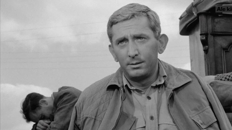 кадр из фильма Закон и кулак