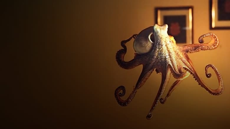 кадр из фильма The Octopus in My House