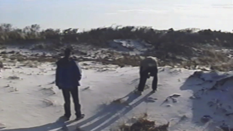 кадр из фильма The Peter Diaries: Life is Slow in the Fast Lane