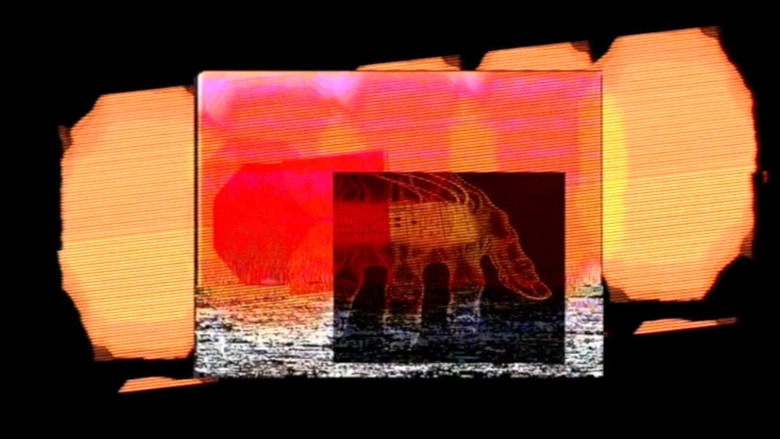 кадр из фильма Sil, o el televidente