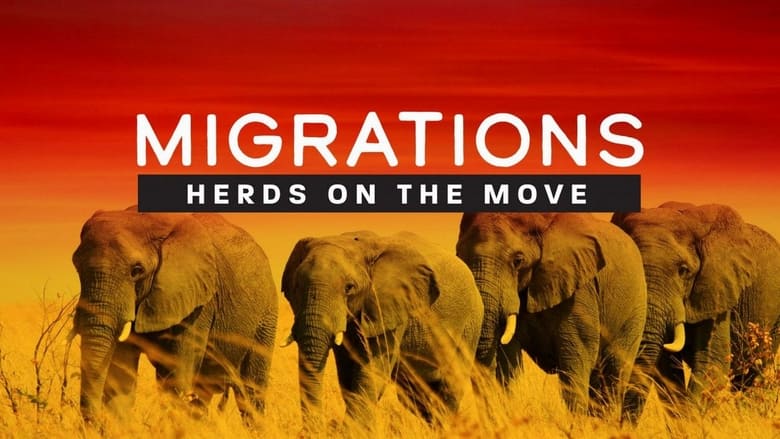 кадр из фильма Migrations: Herds on the Move