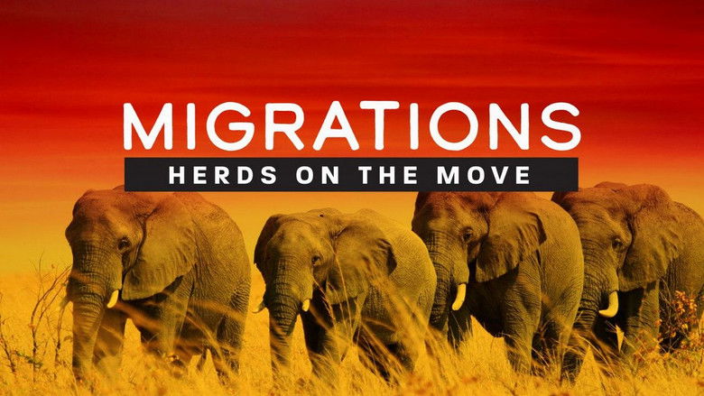 кадр из фильма Migrations: Herds on the Move
