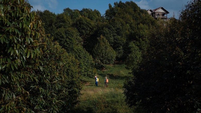 кадр из фильма Терновый рай