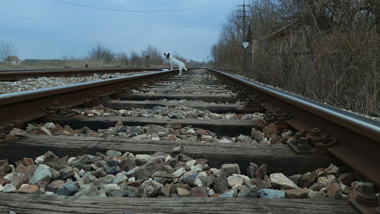кадр из фильма Призори из живота џукца