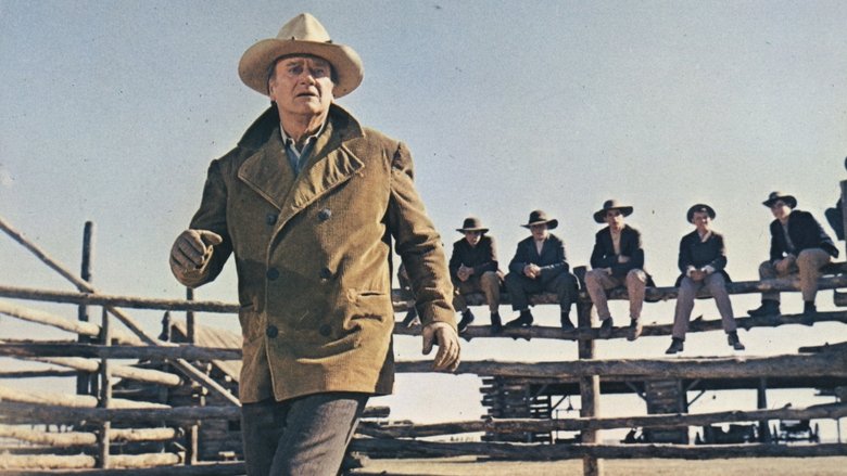 кадр из фильма Ковбои