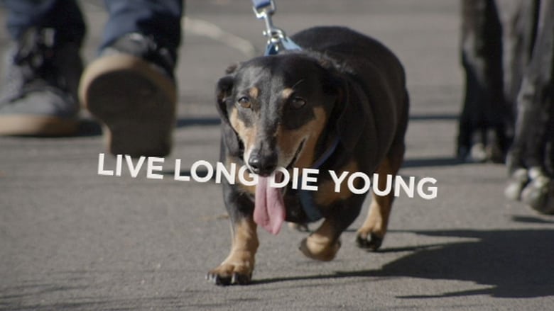 кадр из фильма Live Long Die Young
