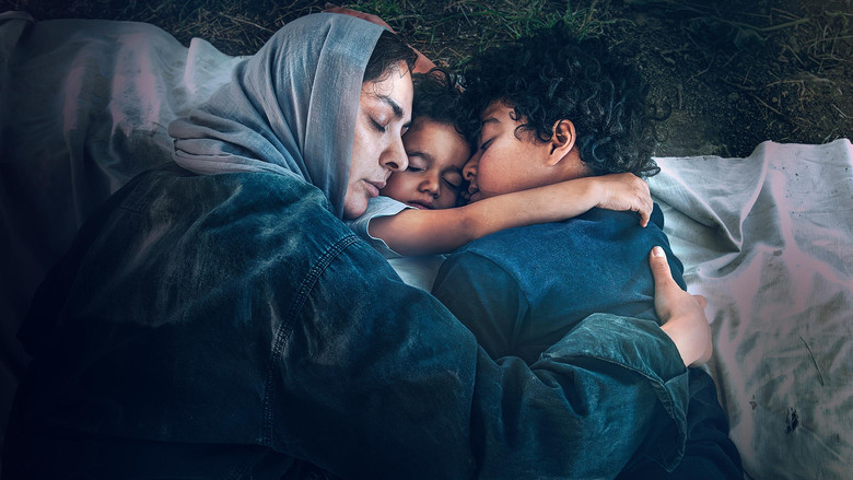 кадр из фильма در آغوش درخت