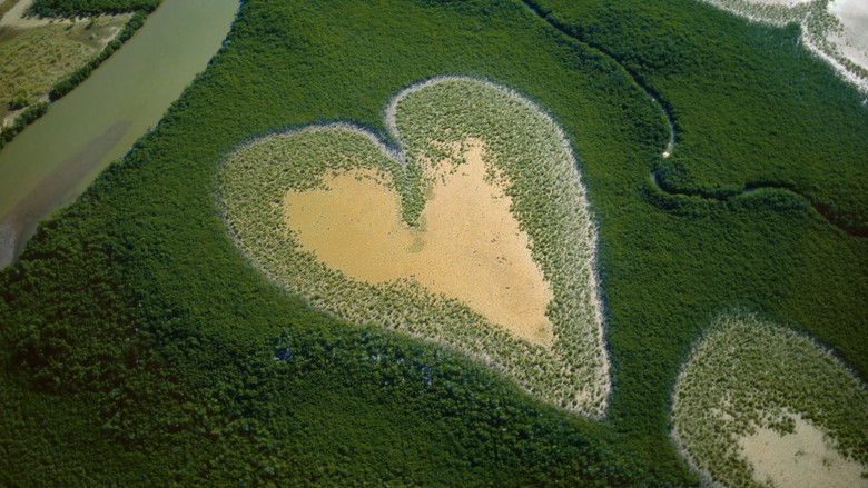 кадр из фильма Nature : pour une réconciliation