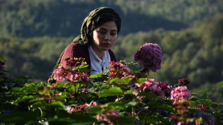 кадр из фильма Зла не существует