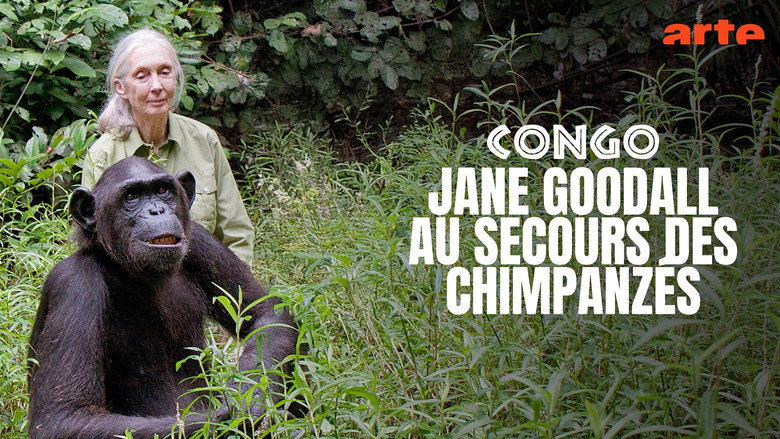 кадр из фильма Schimpansen im Kongo mit Jane Goodall
