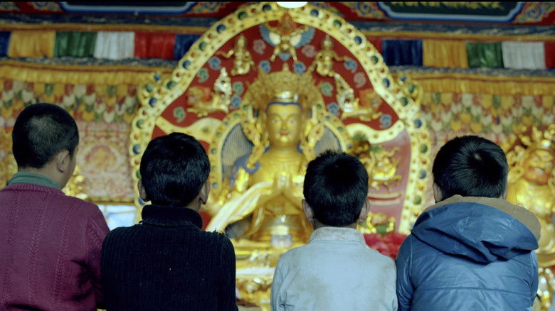 кадр из фильма 少年与驴