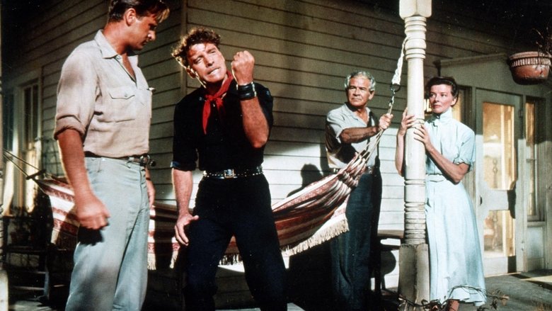 Продавец дождя