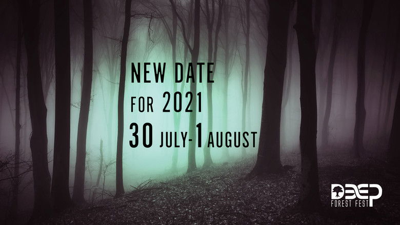 кадр из фильма В дремучем лесу