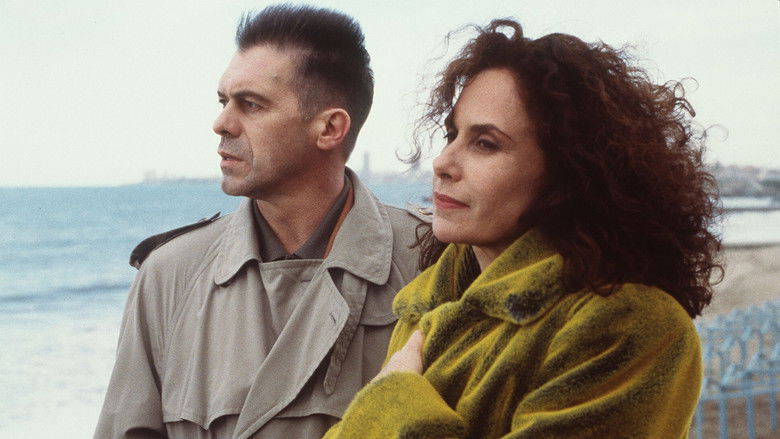 кадр из фильма Corazón iluminado