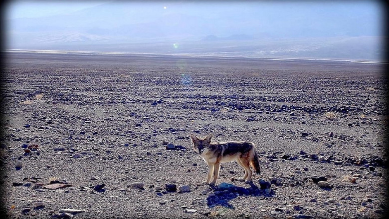 кадр из фильма I See a Darkness