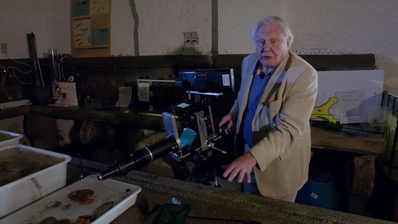 кадр из фильма The Making Of David Attenborough's Light On Earth