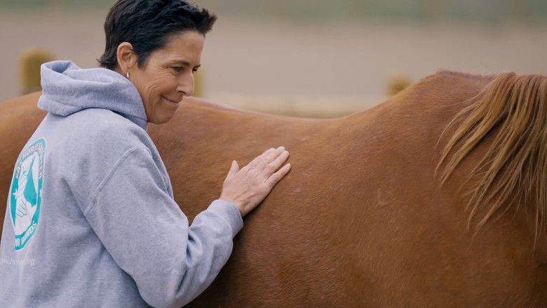 кадр из фильма Tri Me: The Siri Lindley Story