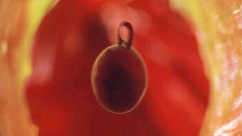 кадр из фильма Дневник медсестры: Полуденный зверь