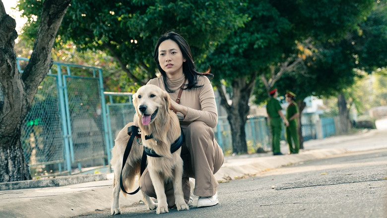 кадр из фильма Bằng Chứng Vô Hình