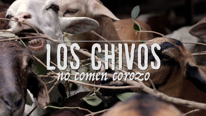 кадр из фильма Los chivos no comen corozo