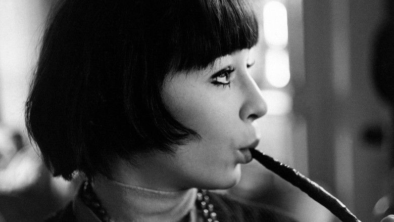 кадр из фильма Le chat dans le sac