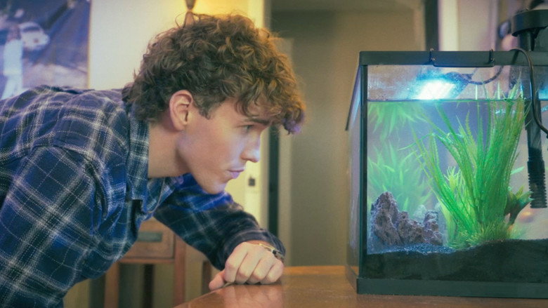 кадр из фильма The Fishsitter