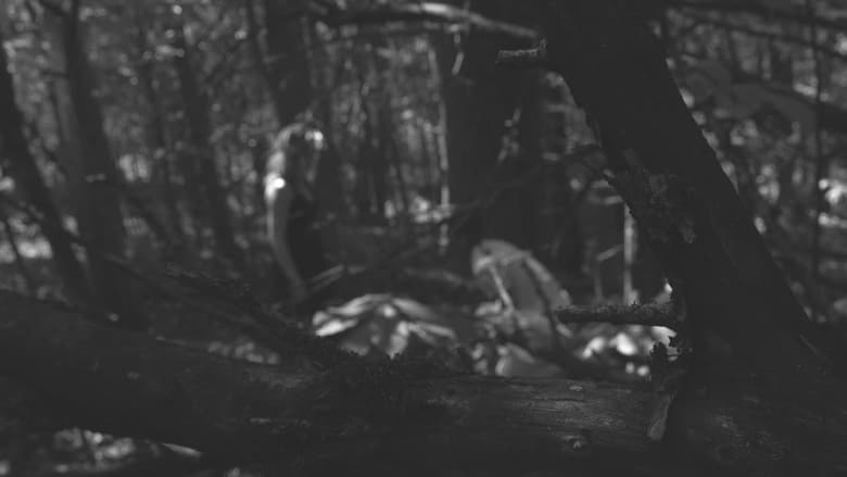 кадр из фильма The Poet