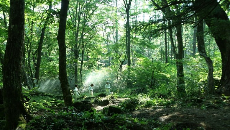 кадр из фильма Обещанный Неверленд