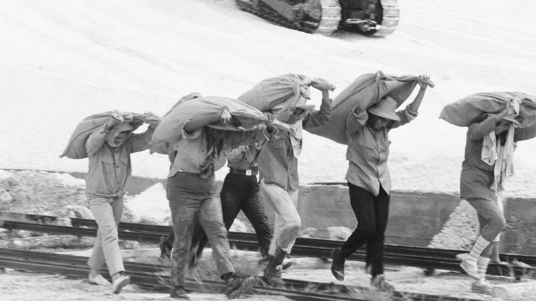 кадр из фильма Лусия