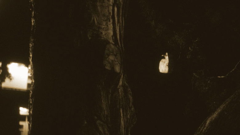 кадр из фильма Silent Trespasser