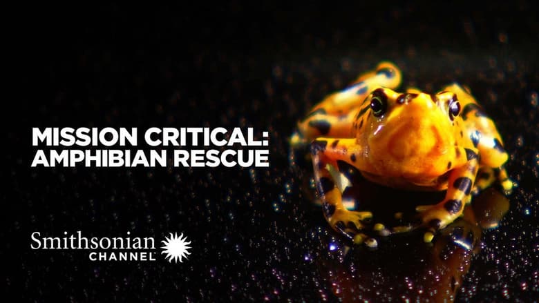 кадр из фильма Mission Critical: Amphibian Rescue