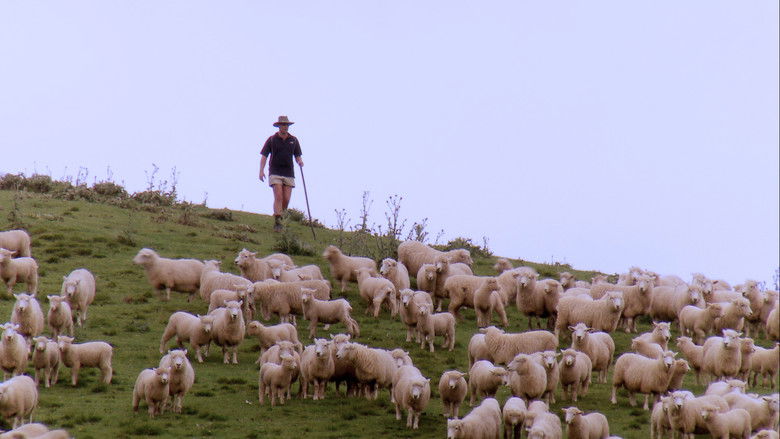 кадр из фильма Trailblazers: The New Zealand Story