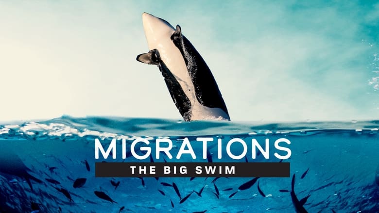 кадр из фильма Migrations: The Big Swim