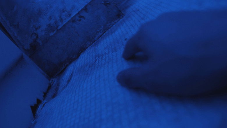 кадр из фильма A Night to Remember