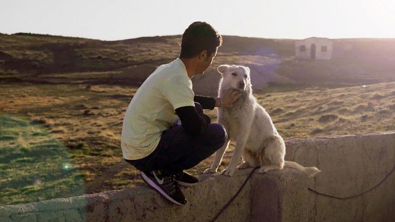 кадр из фильма متین