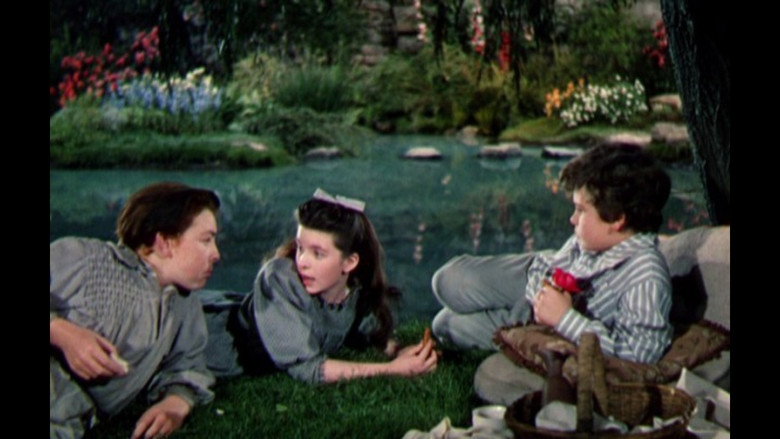 кадр из фильма The Secret Garden