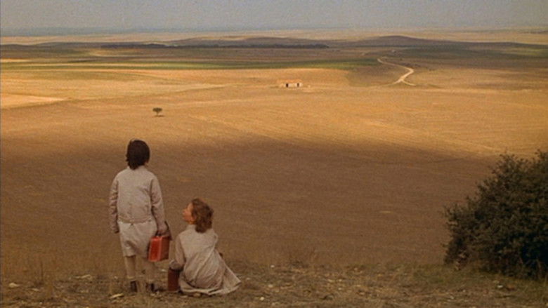 кадр из фильма Дух улья