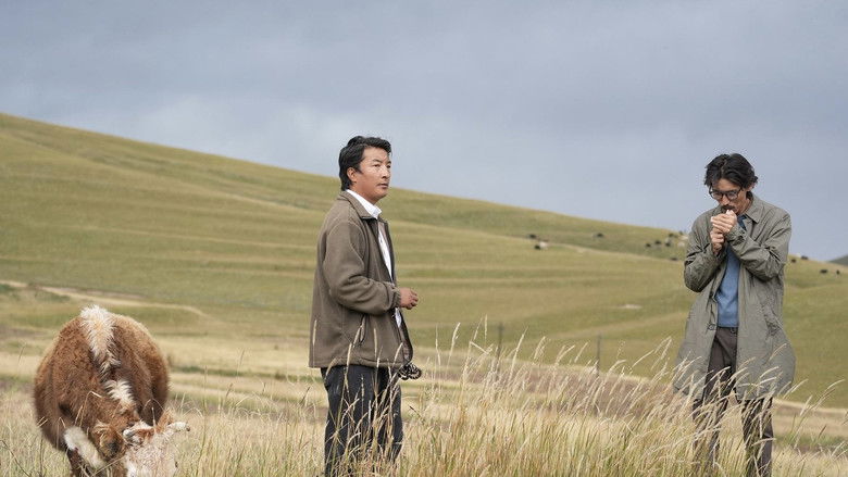 кадр из фильма 月光里的男孩