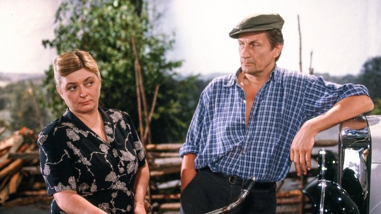 кадр из фильма Entäs nyt, Niskavuori?