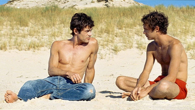 Строго на юг